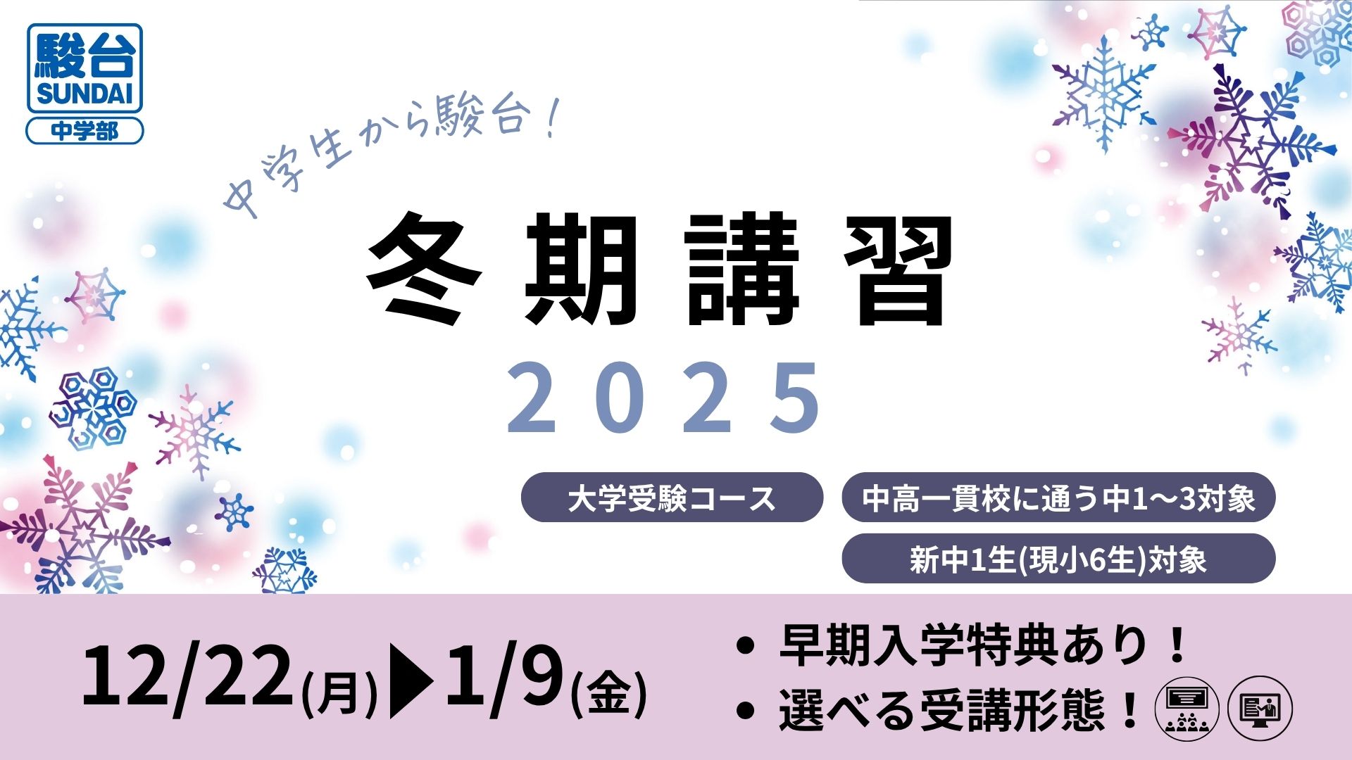 駿台テキスト一橋大学 2024/2025夏期/通年/冬期 51WQ1b-hx6L._AC_UF350,